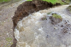 0b0f533a-2609-4345-a3cb-8f144721d1f9