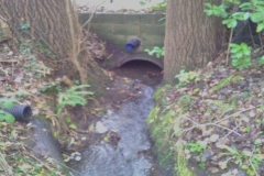 Blocked culvert