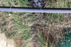 image38
